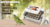 Rcom King Suro 20 Egg Incubator **Pre-Order**