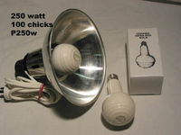 Brooder 100 Chick, 22cm Shade, 250 watt