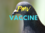 Poulvac Newcastle Vaccine 500ML 1000 dose