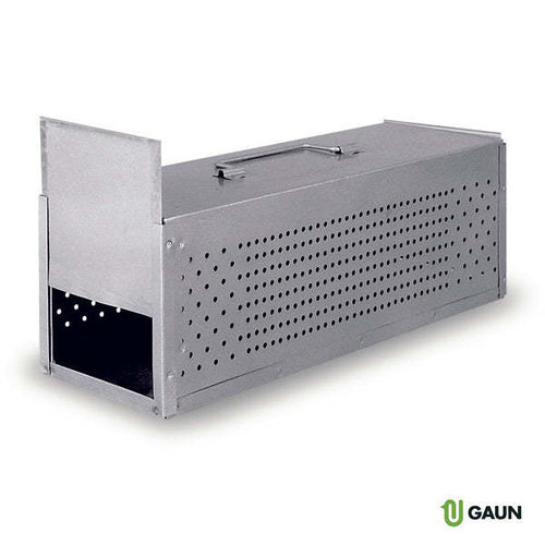 Galvanised Carrier for Pigeons