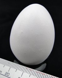 Nest egg ceramic pigeon/quail/parrot egg