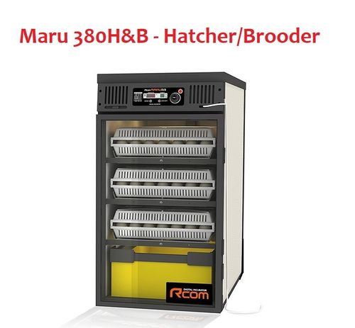 Rcom Maru 380 Hatcher/Brooder