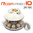 Rcom 10 Pro Plus Egg Incubator - available for pre-order