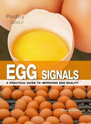 Egg Signals