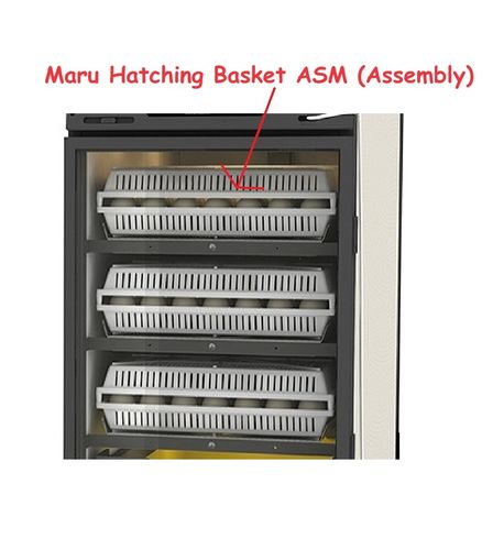 Maru Egg Hatching Basket Assembly (ASM)
