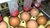 Hedipack 30 Head Egg manual Stamp (Side Feed)