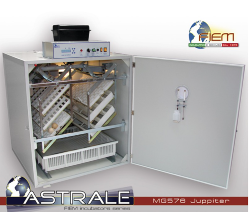Fiem MG 576 Jupiter Incubator (Setter only)