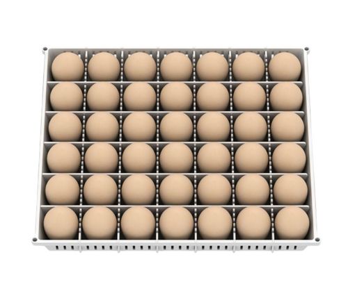 Maru MULTI Egg Basket ASM