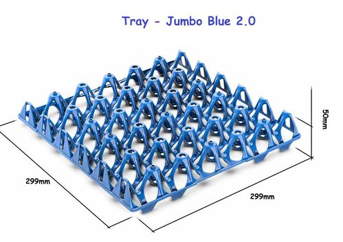 Egg Trays Jumbo 2.0 - 10 x BLUE Stackable "30" egg trays