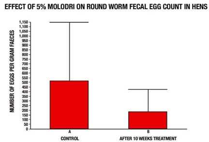 Molodri work control Molodri_poultry.png