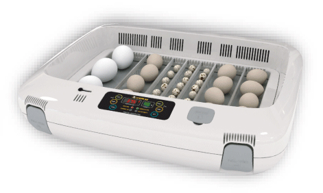 Rcom automatic egg incubator